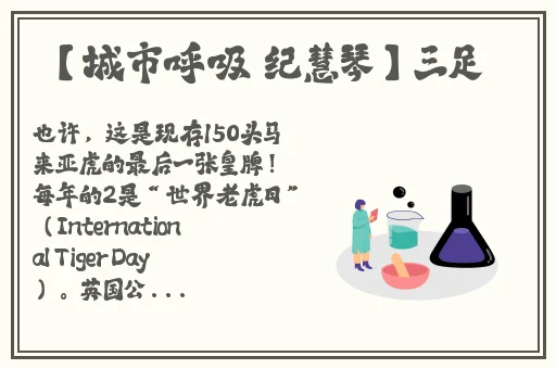 伽罗**ゃんが腿法娴熟